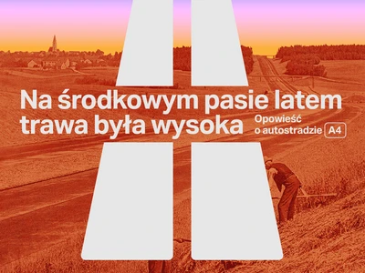 na-srodkowym-pasie-latem-trawa-byla-wysoka